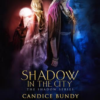 Shadow in the City: An Urban Fantasy Romance