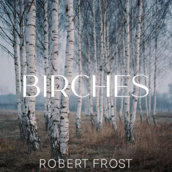 Birches