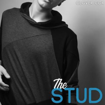 The Stud