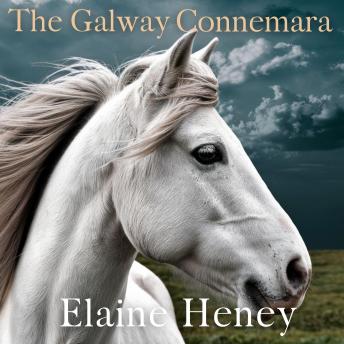 The Galway Connemara | The Autobiography of an Irish Connemara Pony