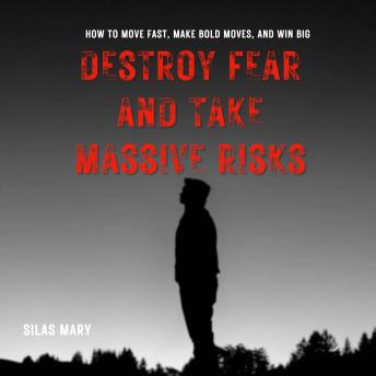 Destroy Fear and Take Massive Risks: How to Move Fast, Make Bold Moves, and Win Big
