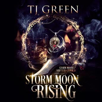 Storm Moon Rising: Paranormal Mystery Cover