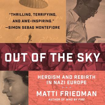 Out of the Sky: An Untold Story of Heroism and Rebirth in Nazi Europe