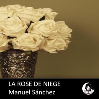 [French] - La rose de niege