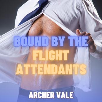 Bound by the Flight Attendants (Gay Group Erotica)