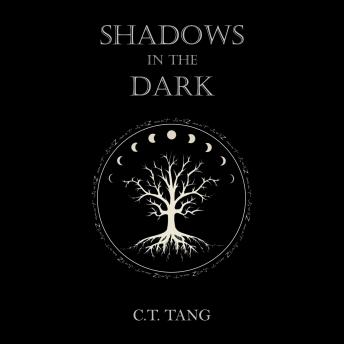 Shadows in the Dark
