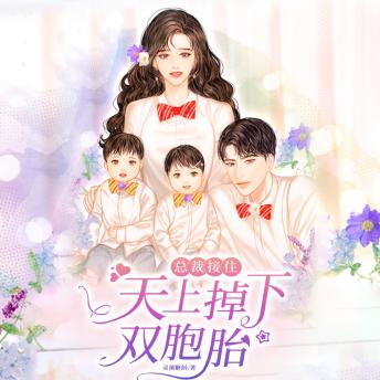 [Chinese] - 總裁接住，天上掉下雙胞胎5: 總裁林宇接住天降雙胞胎，遇神秘女子，情路尋愛啟程！
