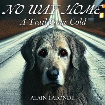 No Way Home: A Trail Gone Cold