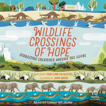 Wildlife Crossings of Hope: Connecting Creatures Around the Globe (Books for a Better Earth)