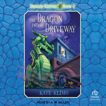 The Dragon in the Driveway