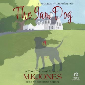 The 9am Dog: The Curiosity Club of St Foy Book 3