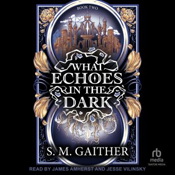 What Echoes in the Dark