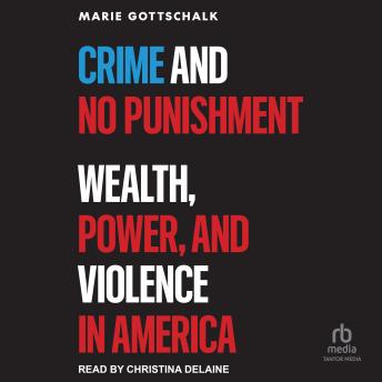 Crime and No Punishment: Wealth, Power, and Violence in America