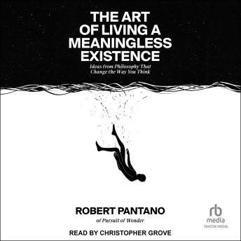 The Art of Living a Meaningless Existence: Ideas from Philosophy That Change the Way You Think