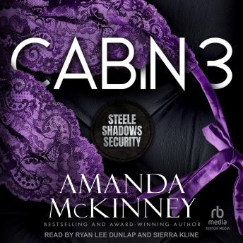 Cabin 3: Steele Shadows Security