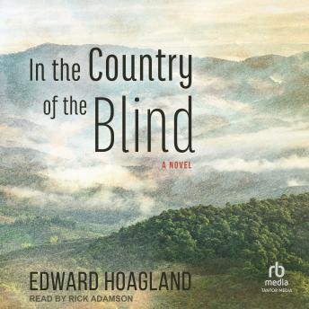 In the Country of the Blind: A Novel