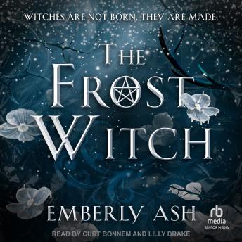 The Frost Witch