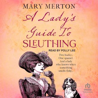 A Lady's Guide to Sleuthing