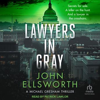 Lawyers In Gray