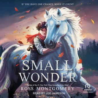 Small Wonder