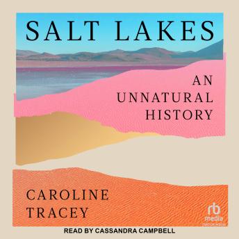 Salt Lakes: An Unnatural History