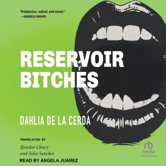 Reservoir Bitches: Stories