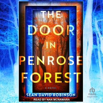 The Door in Penrose Forest: A Novel