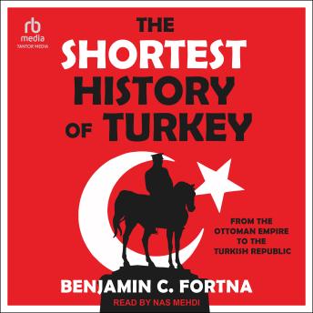 The Shortest History of Turkey: From the Ottoman Empire to the Turkish Republic