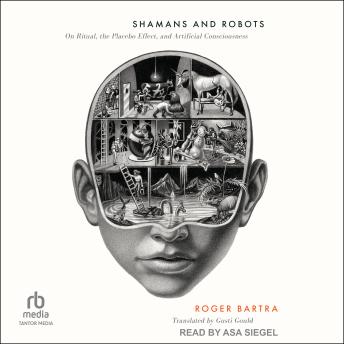 Shamans and Robots: On Ritual, the Placebo Effect, and Artificial Consciousness