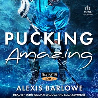 Pucking Amazing: A Why Choose Hockey Romance