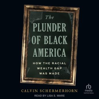 The Plunder of Black America: How the Racial Wealth Gap Was Made