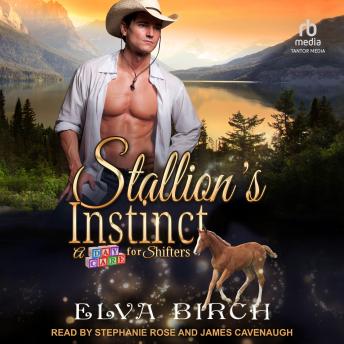 Stallion’s Instinct