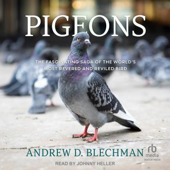 Pigeons: The Fascinating Saga of the World's Most Revered and Reviled Bird