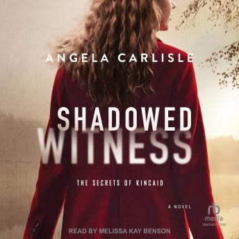 Shadowed Witness