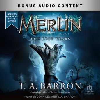 The Merlin: The Lost Years, Book 1