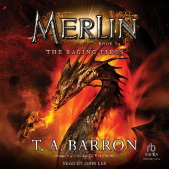 The Merlin: The Raging Fires, Book 3