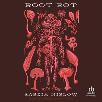 Root Rot