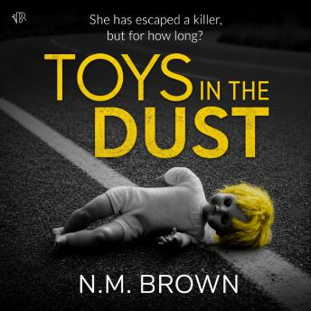 Toys in the Dust: A Gripping Mystery Thriller