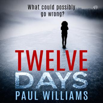 Twelve Days: A Gripping Crime Mystery