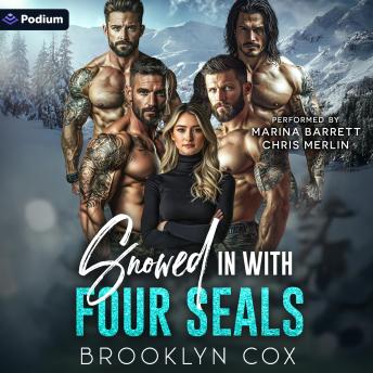 Snowed in with Four SEALs: A Mountain Men Why Choose Standalone