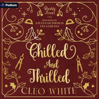 Chilled and Thrilled: Daddy Issues, Book 1