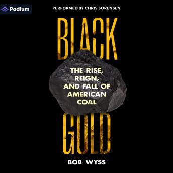 Black Gold: The Rise, Reign, and Fall of American Coal - Bob Wyss Black Gold: The Rise, Reign, and Fall of American Coal - Bob Wyss