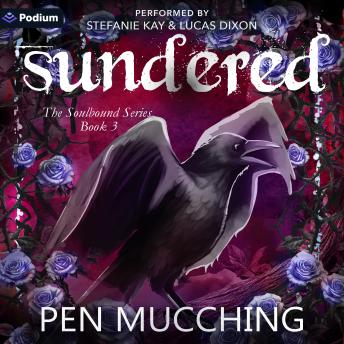 Sundered: The Soulbound, Book 3