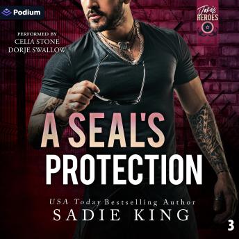 A SEAL's Protection: Jake's Heroes, Book 3