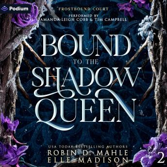 Bound to the Shadow Queen: Frostbound Court, Book 2