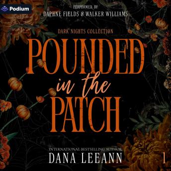 Pounded in the Patch: Dark Nights Collection, Book 1