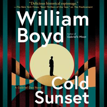 Cold Sunset: A Gabriel Dax Novel