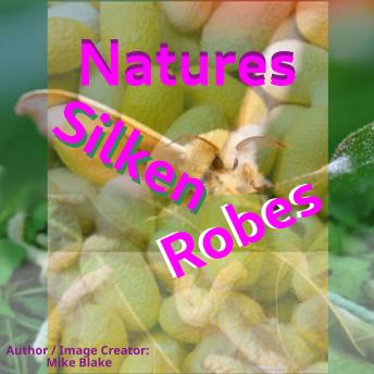 Natures Silken Robes: Bombyx mandarina
