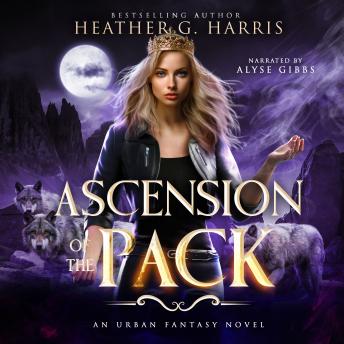 Ascension of the Pack: The Other Wolf Series