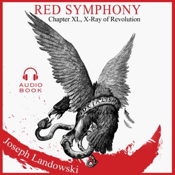 Red Symphony: Chapter 40 X-Ray of Revolution